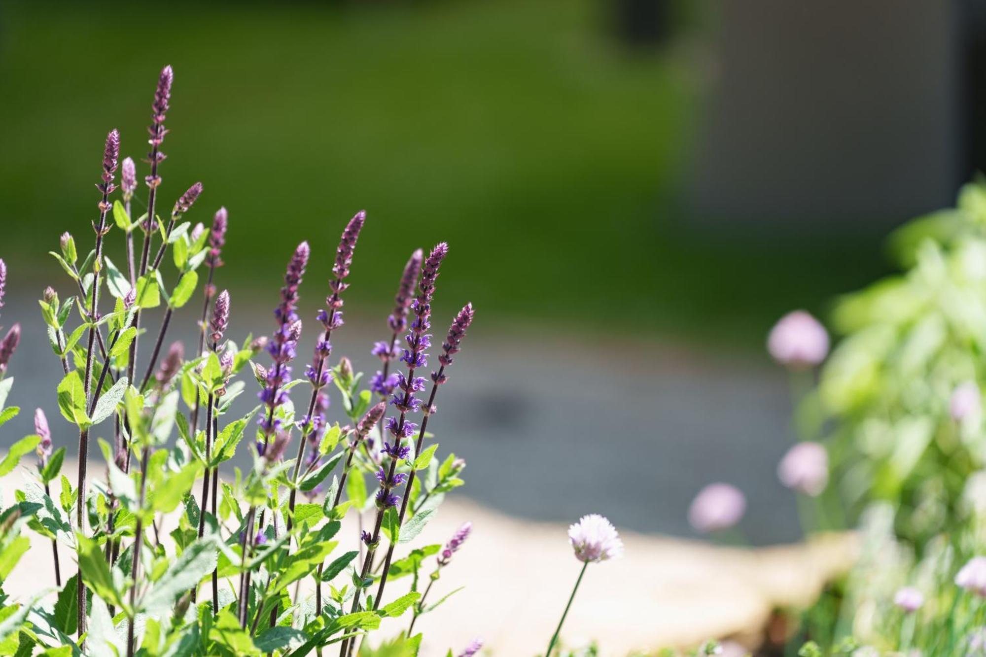 Готель Les Jardins D'Anais Люксембург Екстер'єр фото